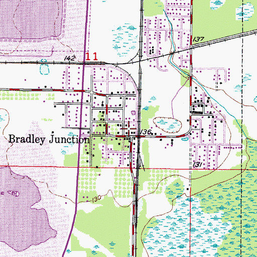 Topographic Map of Bradley Junction Census Designated Place, FL