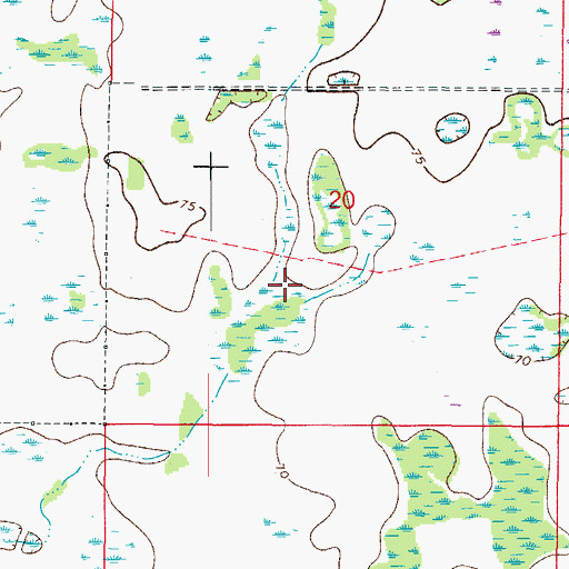 Topographic Map of Central Wesley Chapel Census Designated Place, FL