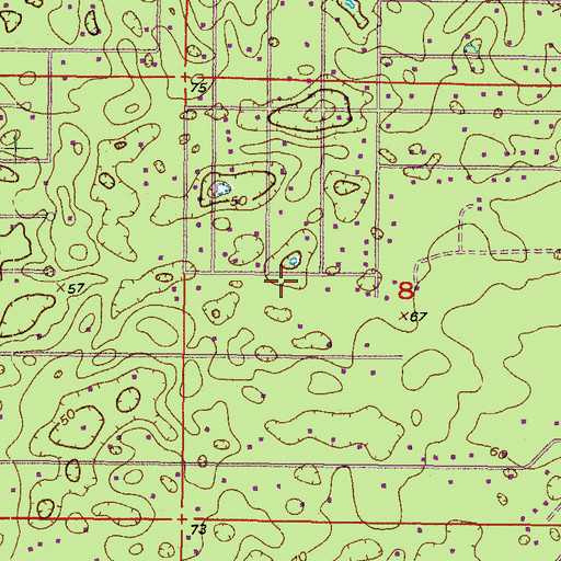 Topographic Map of East Shady Hills Census Designated Place, FL