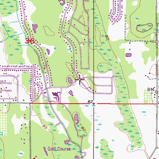 Topographic Map of Rio Pinar Census Designated Place, FL