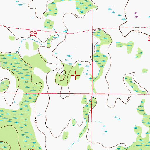 Topographic Map of South Wesley Chapel Census Designated Place, FL