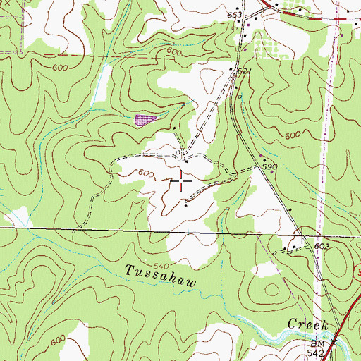 Topographic Map of Worthville Division, GA