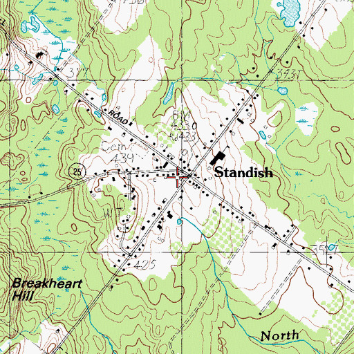 Topographic Map of Standish Census Designated Place, ME
