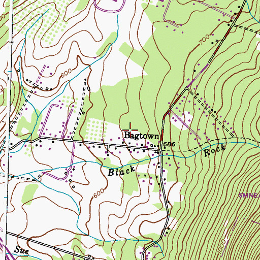 Topographic Map of Bagtown Census Designated Place, MD