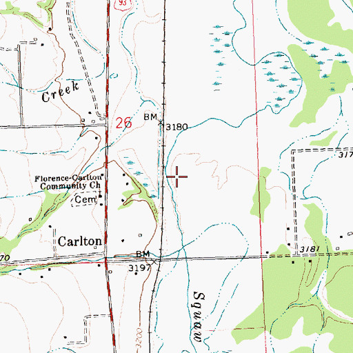 Topographic Map of Carlton Census Designated Place, MT