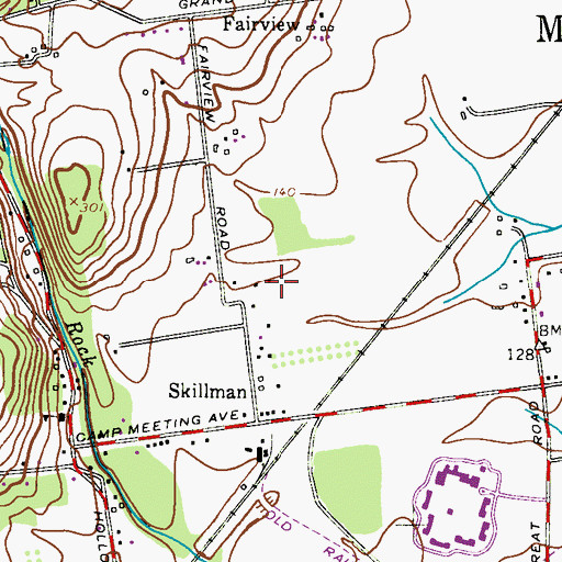 Topographic Map of Skillman Census Designated Place, NJ