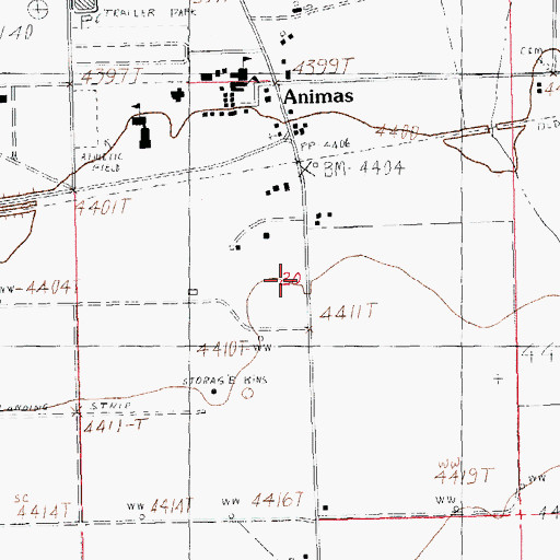 Topographic Map of Animas Census Designated Place, NM