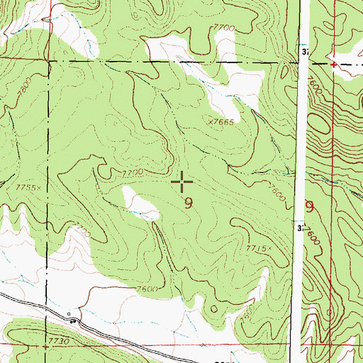 Topographic Map of Homestead Census Designated Place, NM