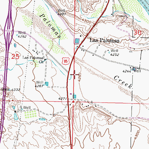Topographic Map of Las Palomas Census Designated Place, NM