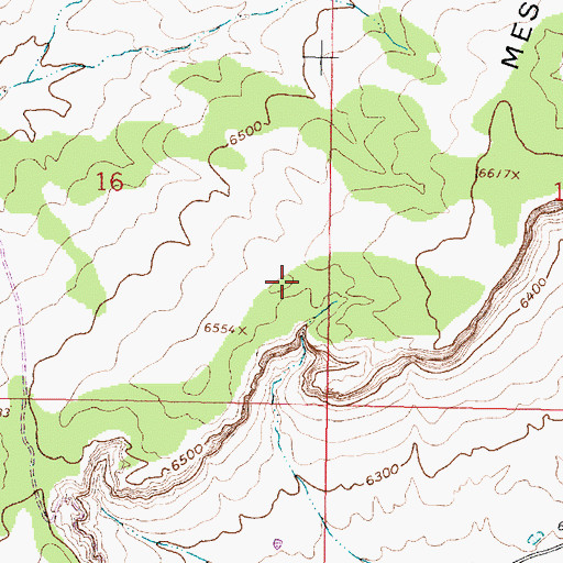 Topographic Map of San Luis Census Designated Place, NM