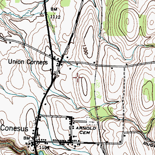 Topographic Map of Conesus Hamlet Census Designated Place, NY