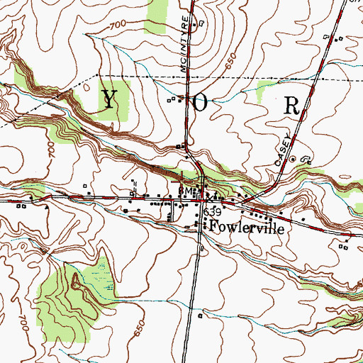 Topographic Map of Fowlerville Census Designated Place, NY