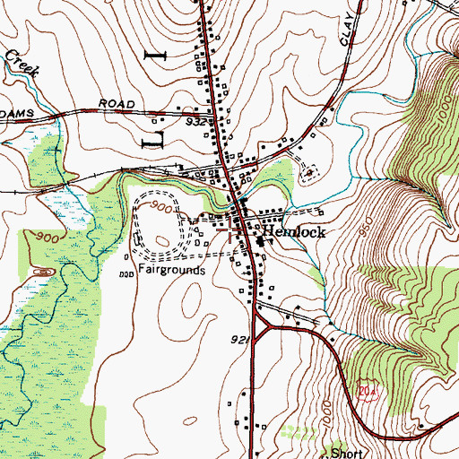 Topographic Map of Hemlock Census Designated Place, NY