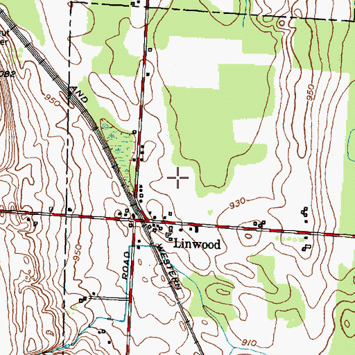 Topographic Map of Linwood Census Designated Place, NY