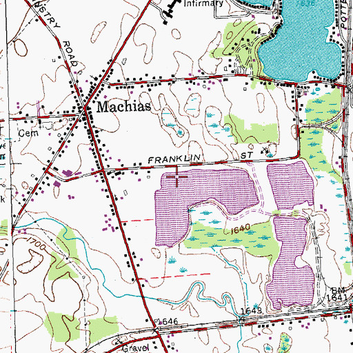 Topographic Map of Machias Census Designated Place, NY