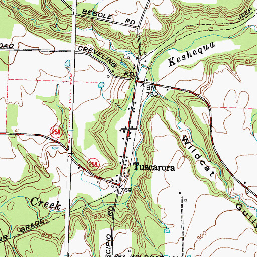 Topographic Map of Tuscarora Census Designated Place, NY
