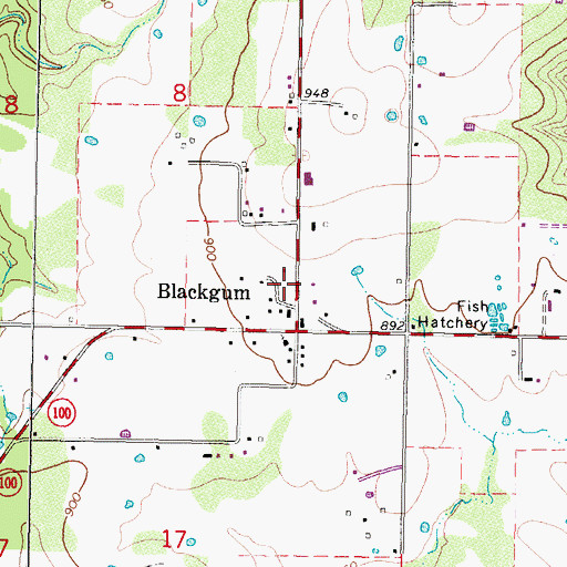 Topographic Map of Blackgum Census Designated Place, OK