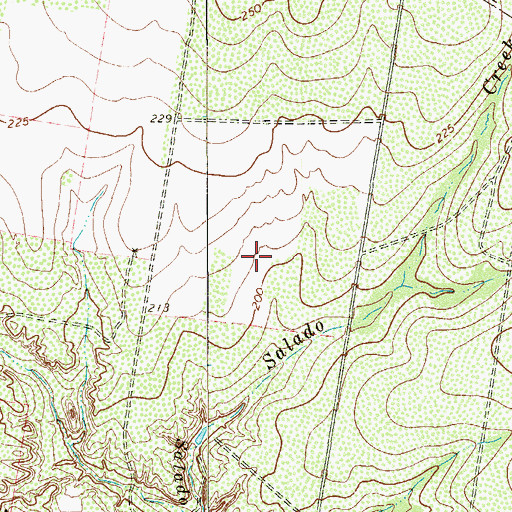 Topographic Map of La Paloma Ranchettes Census Designated Place, TX