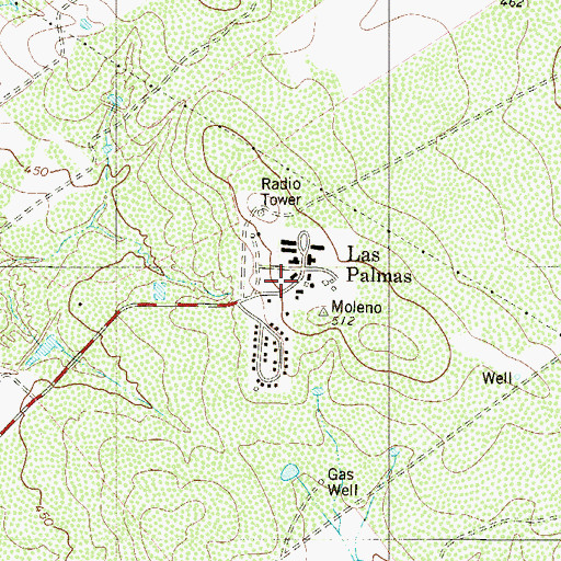 Topographic Map of Las Palmas Census Designated Place, TX