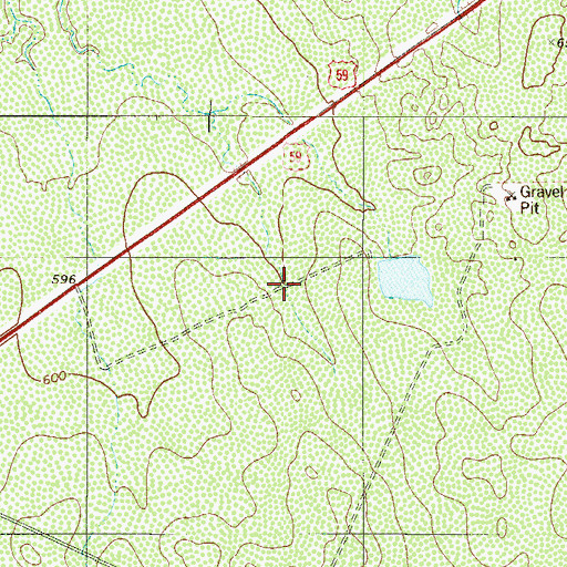 Topographic Map of Los Nopalitos Census Designated Place, TX