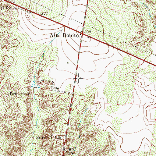 Topographic Map of Narciso Pena Census Designated Place, TX