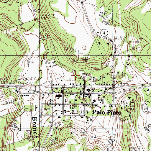 Topographic Map of Palo Pinto Census Designated Place, TX