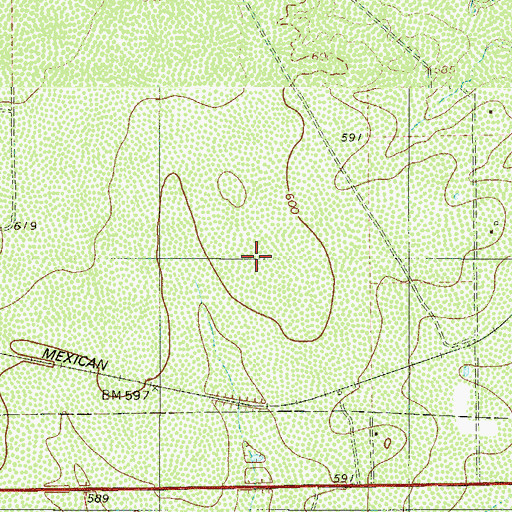 Topographic Map of Pueblo Nuevo Census Designated Place, TX