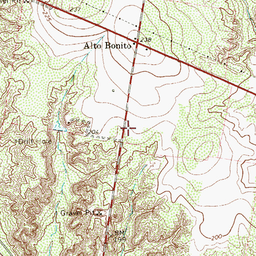 Topographic Map of Rafael Pena Census Designated Place, TX