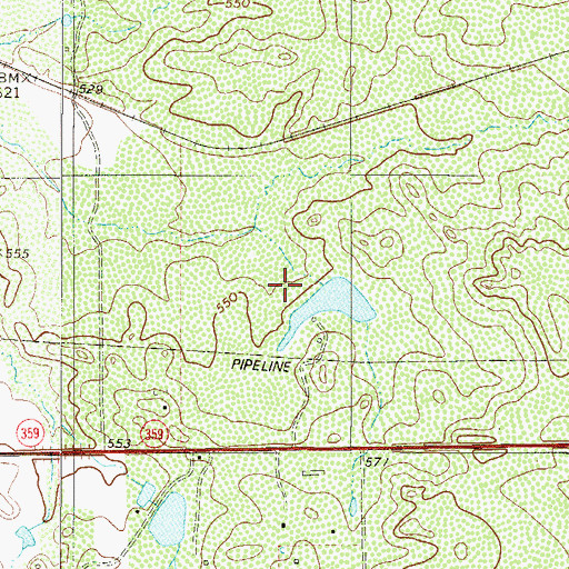 Topographic Map of Ranchitos East Census Designated Place, TX