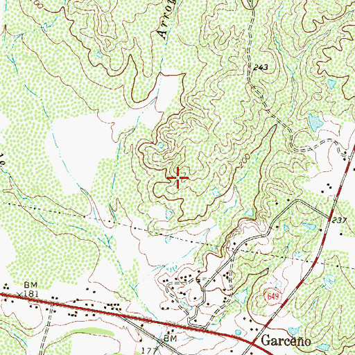 Topographic Map of San Juan Census Designated Place, TX
