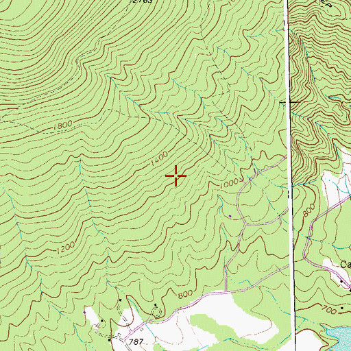 Topographic Map of Nellysford Census Designated Place, VA