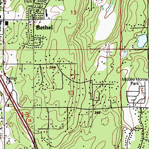 Topographic Map of Bethel Census Designated Place, WA