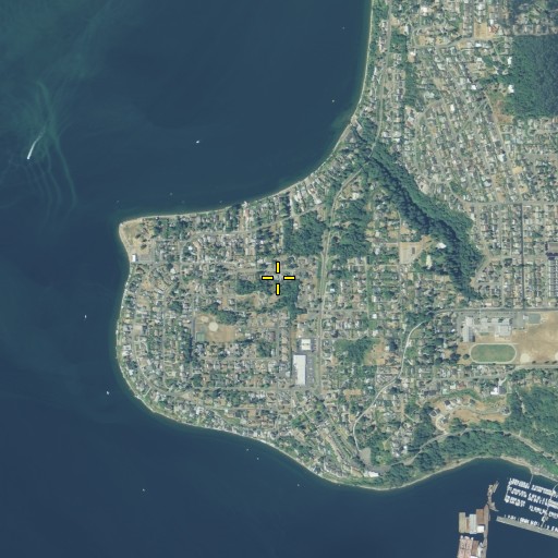 Aerial/Satellite Image of Browns Point Census Designated Place, WA