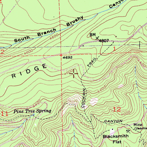 Topographic Map of Cockrin Trail, CA