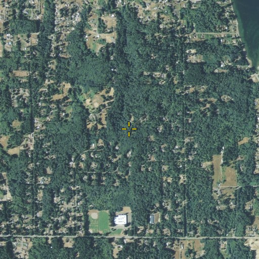 Aerial/Satellite Image of Southworth Census Designated Place, WA