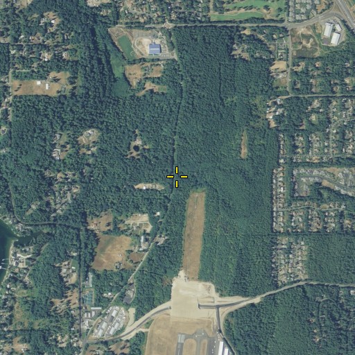 Aerial/Satellite Image of Wollochet Census Designated Place, WA