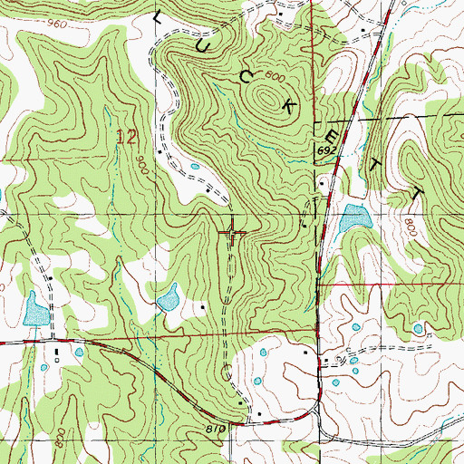 Topographic Map of Pleasant Hill Cemetery, MO