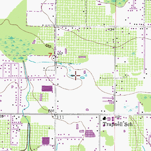 Topographic Map of Mathis Farms, FL