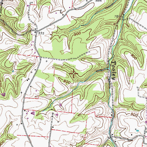 Topographic Map of Siloam Census Designated Place, TN
