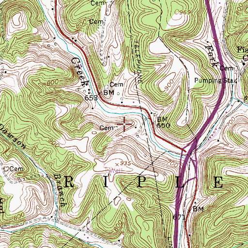 Topographic Map of Boggess Family Cemetery, WV