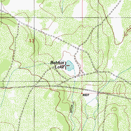 Topographic Map of Babbitt Lake, AZ