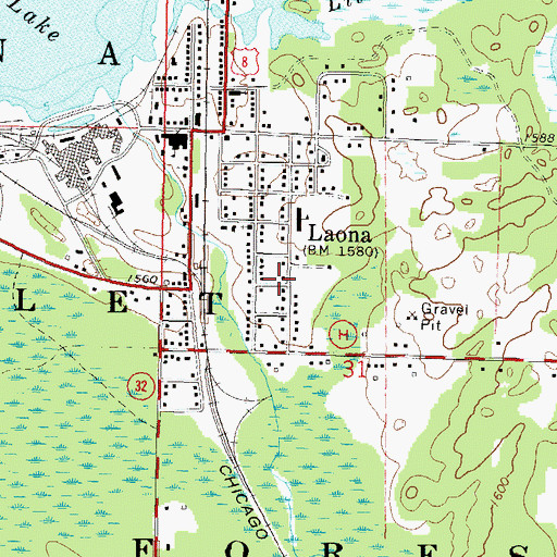 Topographic Map of Laona Census Designated Place, WI
