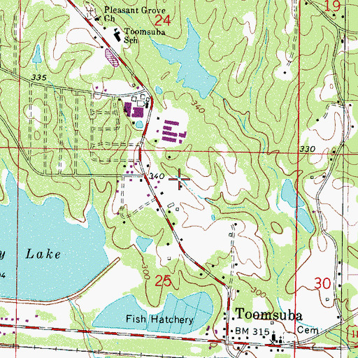 Topographic Map of Toomsuba Census Designated Place, MS