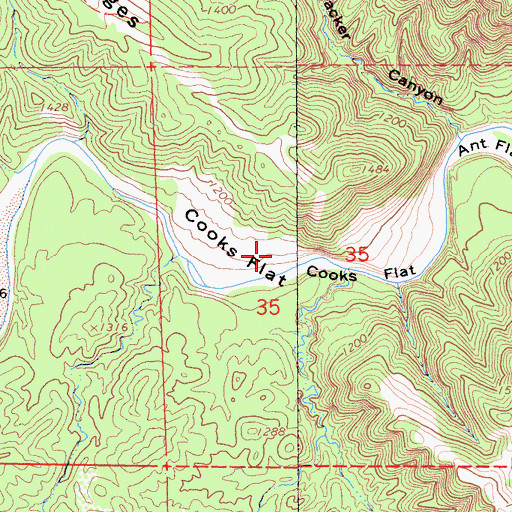 Topographic Map of Cooks Flat, CA