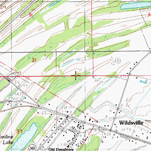 Topographic Map of Wildsville Census Designated Place, LA