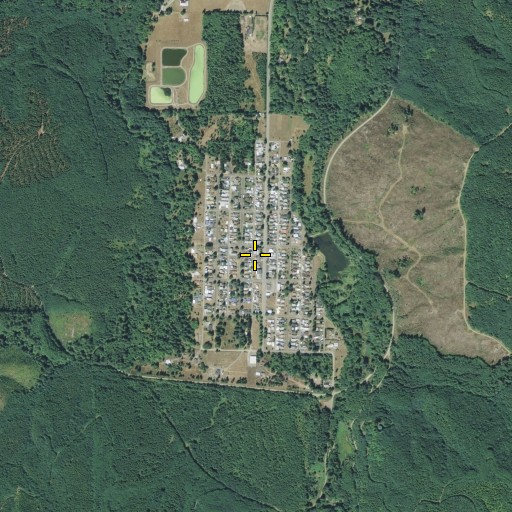 Aerial/Satellite Image of Ryderwood Census Designated Place, WA