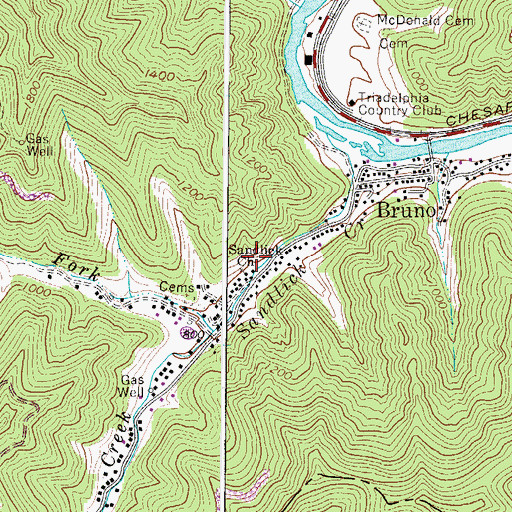 Topographic Map of Bruno Census Designated Place, WV