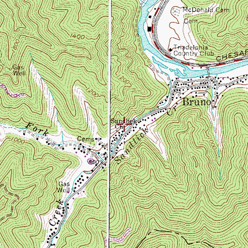 Topographic Map of Bruno Census Designated Place, WV