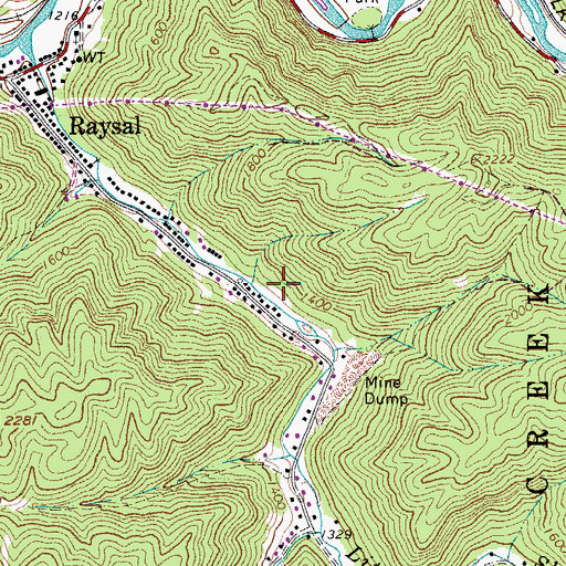 Topographic Map of Raysal Census Designated Place, WV