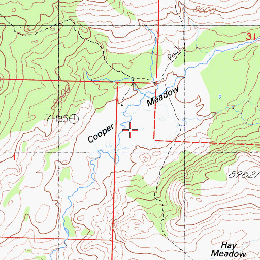 Topographic Map of Cooper Meadow, CA